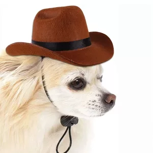 Hundehut, Cowboyhut für Hunde, Haustierhut