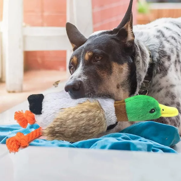 Kauspielzeug für Hunde, Quietschspielzeug, Plüschente, Entenspielzeug