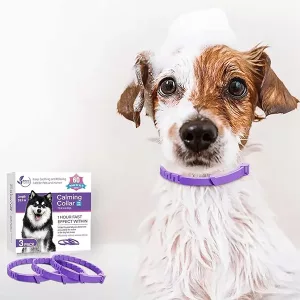 Beruhigungshalsband für Hunde, Pheromon-Halsband für Hunde, Beruhigungshalsband