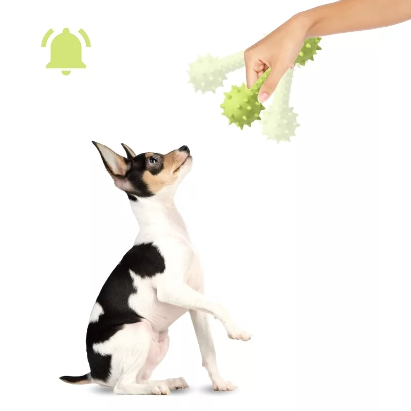 Hundespielzeug, Hundespielzeug aus Gummi, Hundespielzeug mit Quietschgeräusch, Hantelförmiges Hundespielzeug