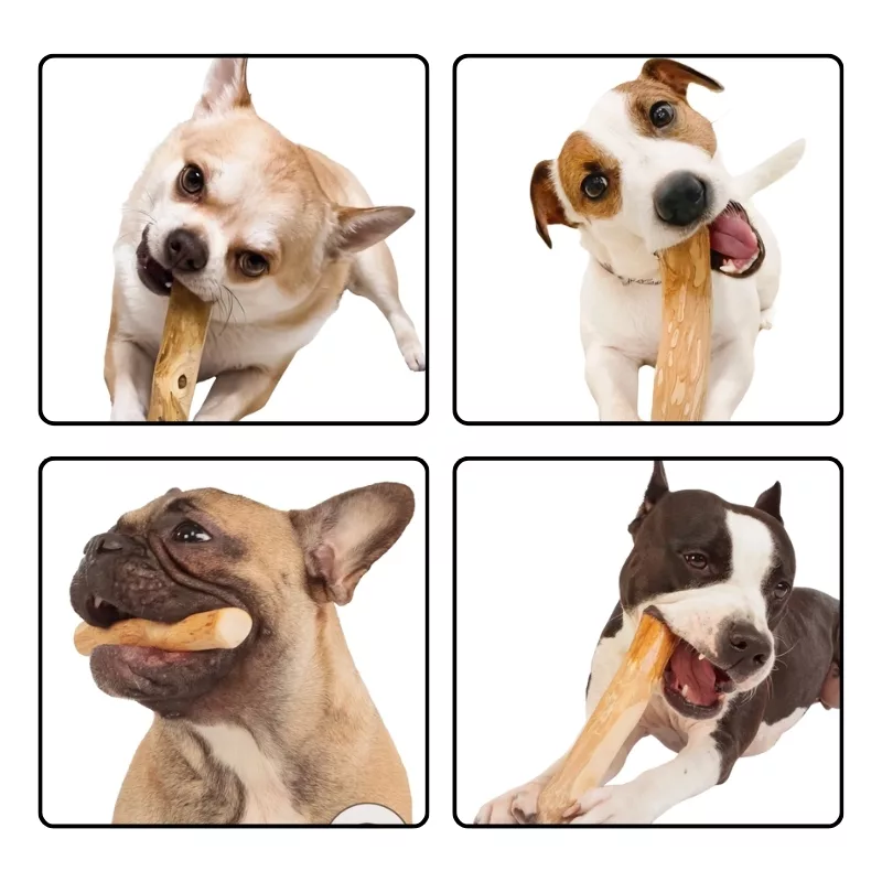 Hundespielzeug aus Holz, Kauspielzeug aus Holz für Hunde