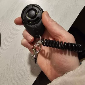 Erhaltenen Tragbarer Hundetrainingsklicker von Kunde D****n.