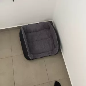 Erhaltene Waschbares Hundebett Plüschmatratze vom Kunden B****p.
