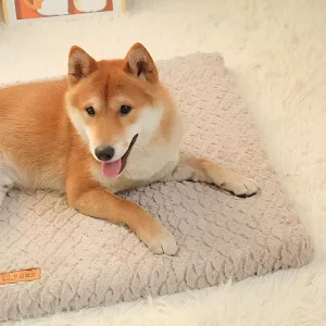 Waschbares Hundebett, Plüsch-Hundebett, Hundebett mit abnehmbarem Bezug