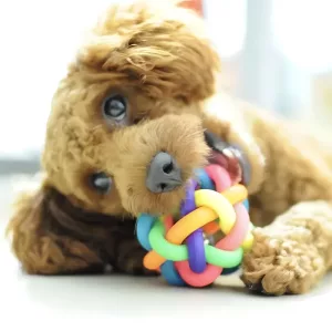 Hundeball, Hundekauknochen