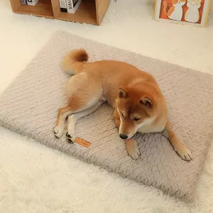 Waschbares Hundebett, Plüsch-Hundebett, Hundebett mit abnehmbarem Bezug