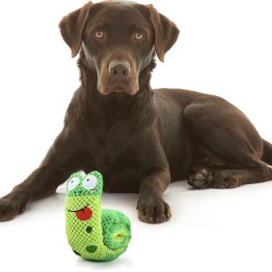 dog squeak toy, dog snuffle toy