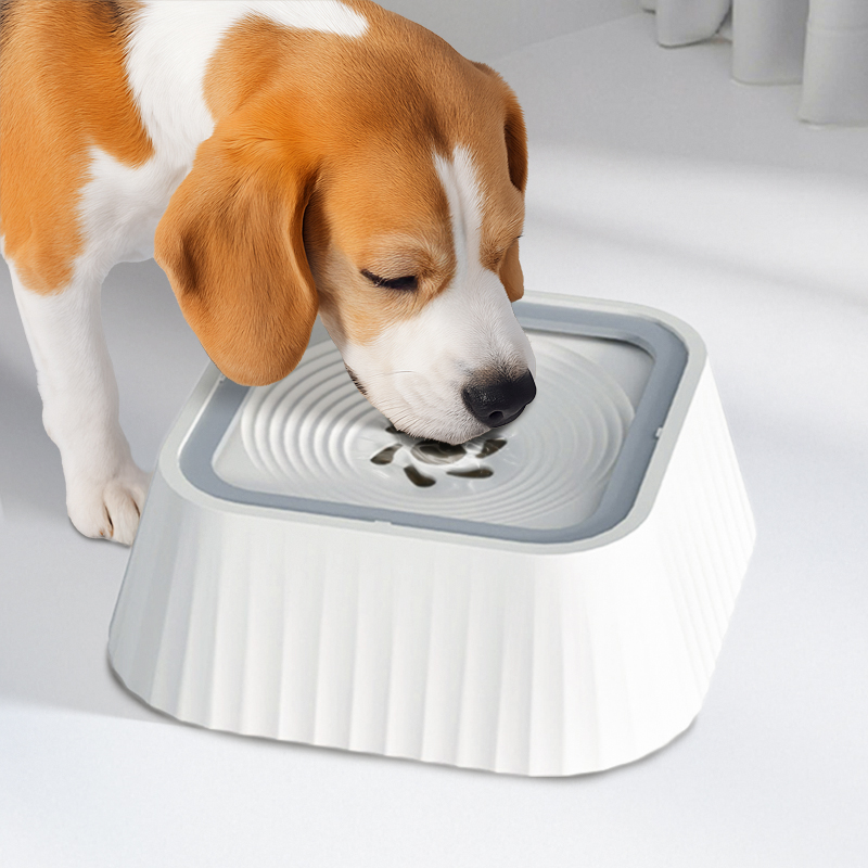 dog water fountain, dog water bowl, dog water dispenser, anti splash dog bowl