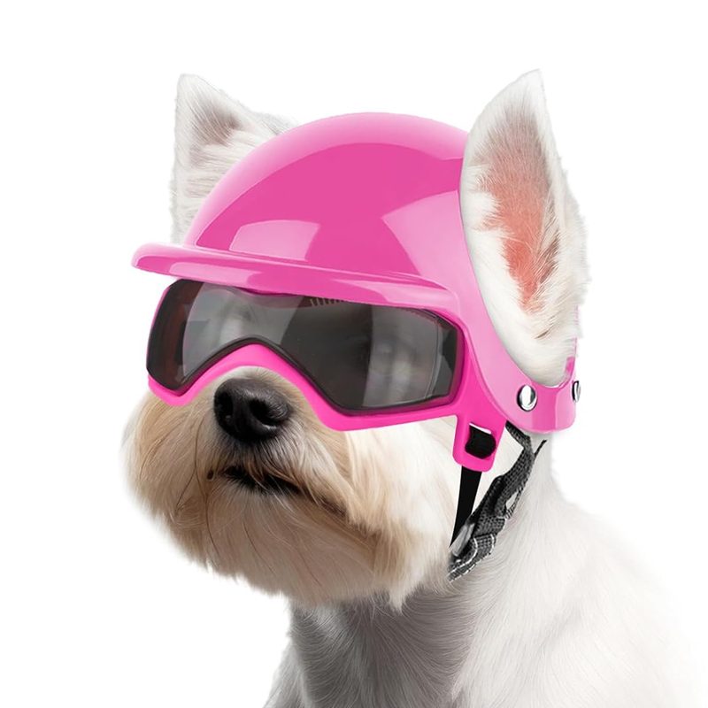 dog goggles, dog helmet, dog motorcycle helmet