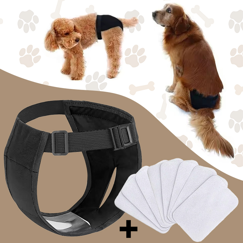 female dog nappies, dog period diapers, female dog diapers, washable dog diapers, dog diapers for heat