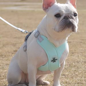 dog harness, dog harness leash set, dog vest harness, dog harness leash, reflective dog harness