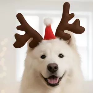 reindeer antlers headband, deer antler headband, dog antlers costume, dog deer antlers