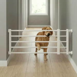 dog gate, dog fence, indoor dog fence, dog safety gate, metal dog fence, retractable dog fence