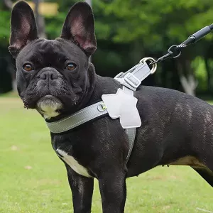 reflective dog harness, no-pull dog harness, freedom harness dog