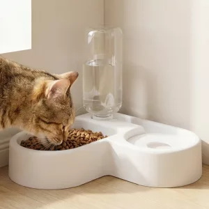 dog bowl, automatic wate dispenser, pet feeding station