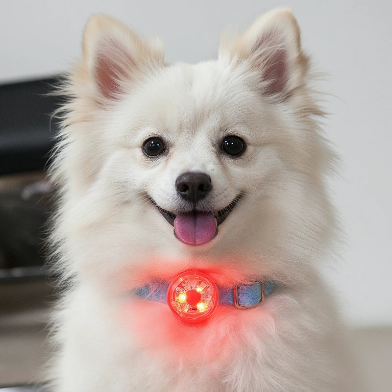 led collar pendant