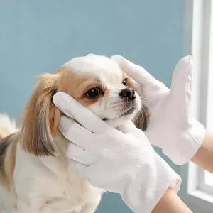 dog glove wipes