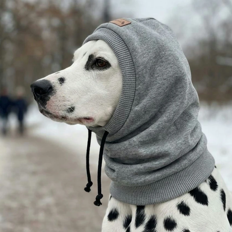 winter dog hat